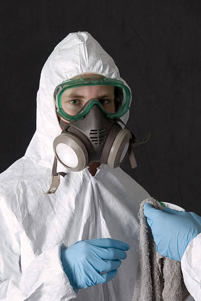 Best Mold Odor Removal Services  in North Bellport, NY